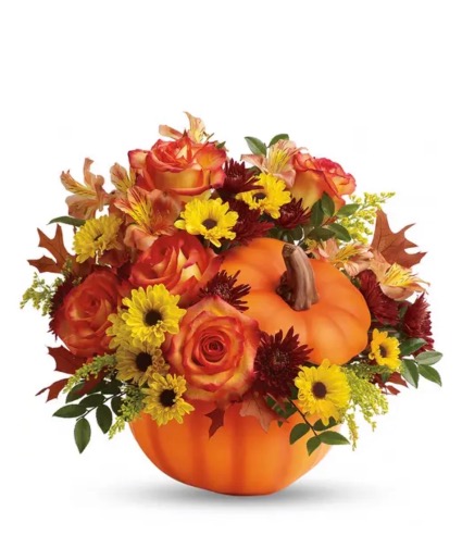 Pumping full of wishes  Thanksgiving 