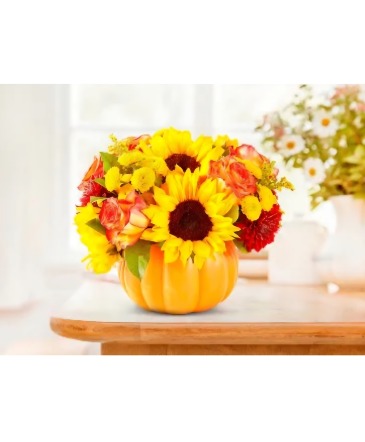 PUMPKIM FALLS O AUTUMN Shown at $39.00 in Edmonds, WA | Mer Flowers