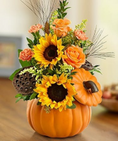 Pumpkin and Roses Fall