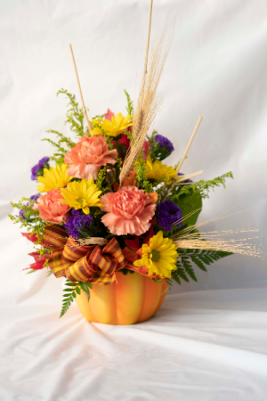 Pumpkin Arrangement