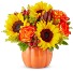 Pumpkin Arrangement 