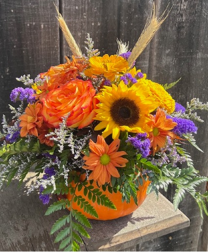 Pumpkin Arrangement Centrepiece, Thanksgiving