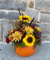 Pumpkin Arrangement Fresh flowers in real or ceramic pumpkin