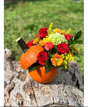 Pumpkin Arrangement  Real Pumpkin