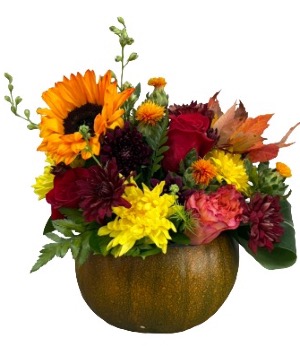 pumpkin vibes 2 -- Designer choice Arrangements 