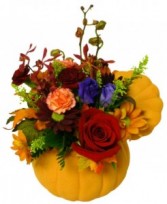 Pumpkin Beauty Bouquet