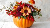 Pumpkin Blessings Vase Arrangement