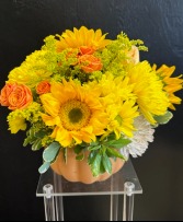 Pumpkin Bliss Floral Design