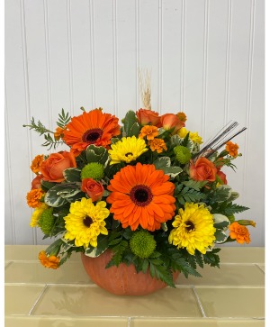 Pumpkin Blooms 