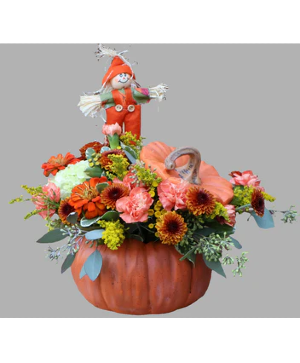 Pumpkin by Jenna 