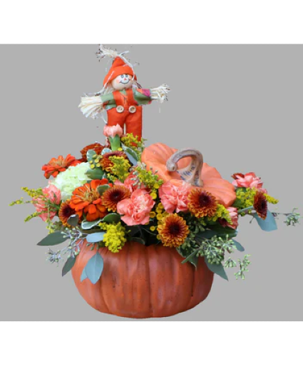 Pumpkin by Jenna 