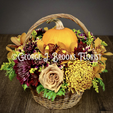 PUMPKIN CHARMER in Brattleboro, VT | George J. Brooks Florist LLC PUMPKIN CHARMER in Brattleboro, VT | George J. Brooks Florist LLC
