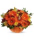 pumpkin cookie jar fall