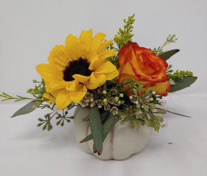 Pumpkin Darling Thanksgiving Arrangement
