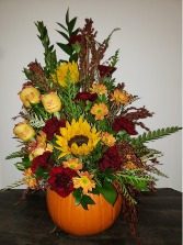 Pumpkin Decor 