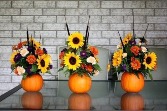 Pumpkin Delight 