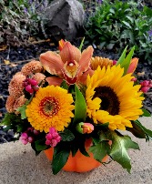 Pumpkin Delight  