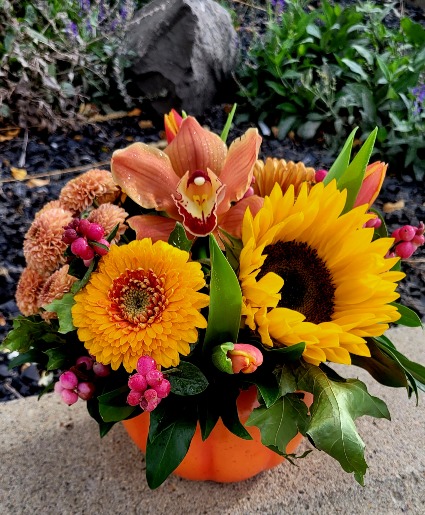 Pumpkin Delight  