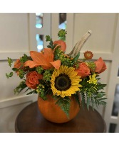 Pumpkin Delight 