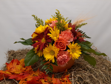 Pumpkin Delight Fall Arrangement in East Templeton, MA | Valley Florist & Greenhouse