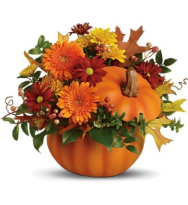 F100 - Pumpkin Delight Fresh Arrangment in Cherokee, IA | Blooming House
