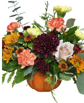Pumpkin Delight, gbn Fresh arrangement
