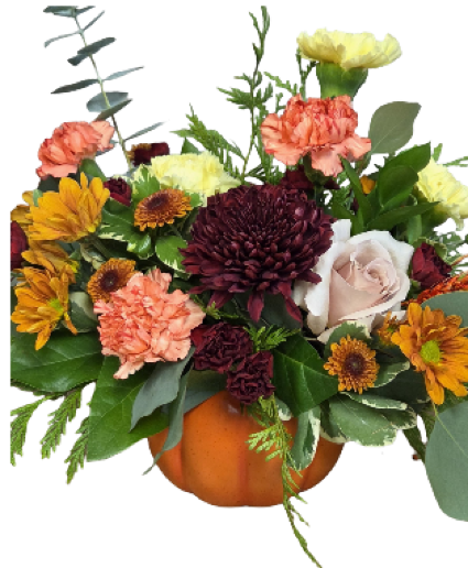 Pumpkin Delight, gbn Fresh arrangement