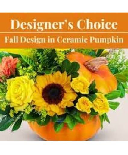 Pumpkin  Designer's Choice