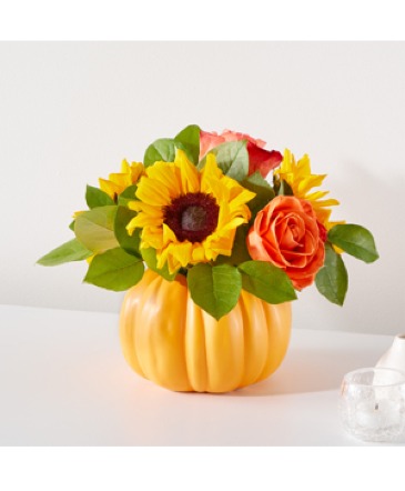 Pumpkin Dream 23-F2 Bouquet in Fort Worth, TX | DARLA'S FLORIST Pumpkin Dream 23-F2 Bouquet in Fort Worth, TX | DARLA'S FLORIST