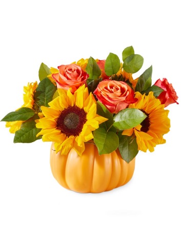 PUMPKIN DREAM BOUQUET  in Williamsburg, VA | Blessing and Blooms Florist