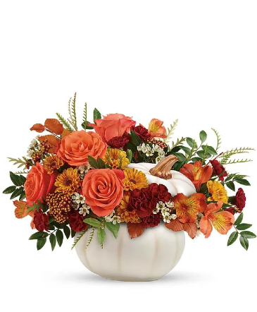 PUMPKIN HARVEST   in Lexington, KY | FLOWERS BY ANGIE