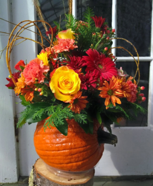 Pumpkin Harvest Arrangement in North Adams, MA | MOUNT WILLIAMS GREENHOUSES INC Pumpkin Harvest Arrangement in North Adams, MA | MOUNT WILLIAMS GREENHOUSES INC