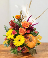 Pumpkin Harvest Arrangement 