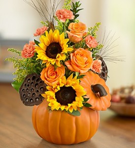 Pumpkin Harvest Fall