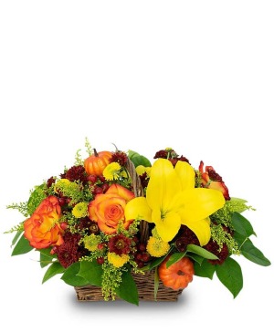 Pumpkin Harvest Flower Basket 