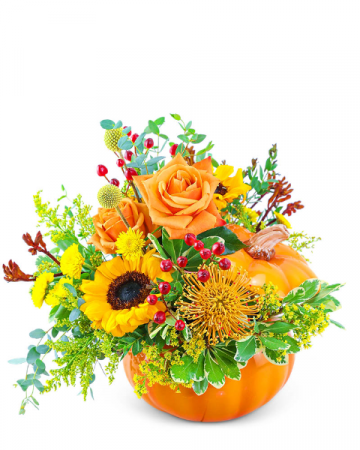 Pumpkin in Radiance Flower Arrangement
