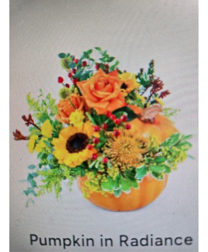 Pumpkin in Radiance Stylized