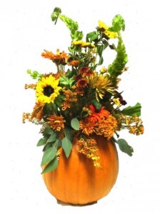 PUMPKIN LIFE Heart to Heart Arrangement