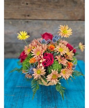 Pumpkin Love Arrangement 
