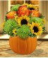 Pumpkin Magic 