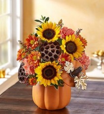 Pumpkin n’ Posies 159208