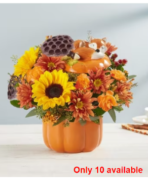 PUMPKIN 'N POSIES 