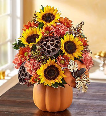 Pumpkin n’ Posies From Roma Florist And Grinhouse 