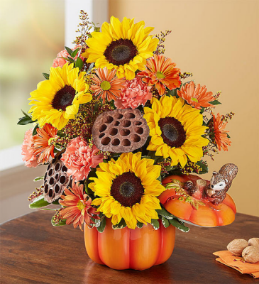 Pumpkin N' Posies From Roma Florist & Greenhouse