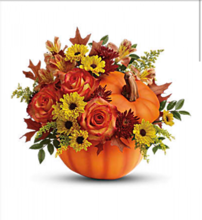 pre order Pumpkin patch