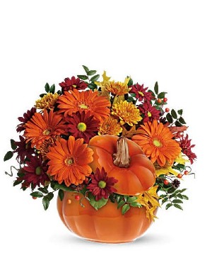 Pumpkin Patch Arrangement