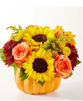 PUMPKIN PATCH ARRANGEMENT ARRANGEMENTS