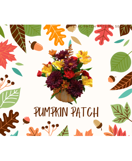 Pumpkin Patch Arrangement Floral Bouquet