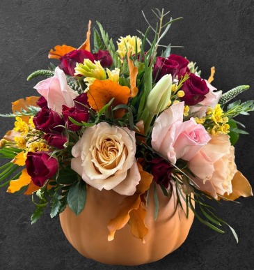 Pumpkin Patch Flower Arrangement in Blue Bell, PA | BLOOMS AND BUDS