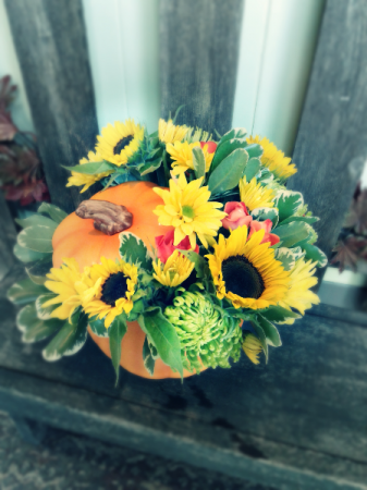 Pumpkin Patch Fresh Fall Arrangement